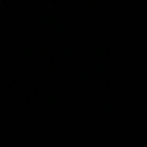 Meet your Posher, Anissa